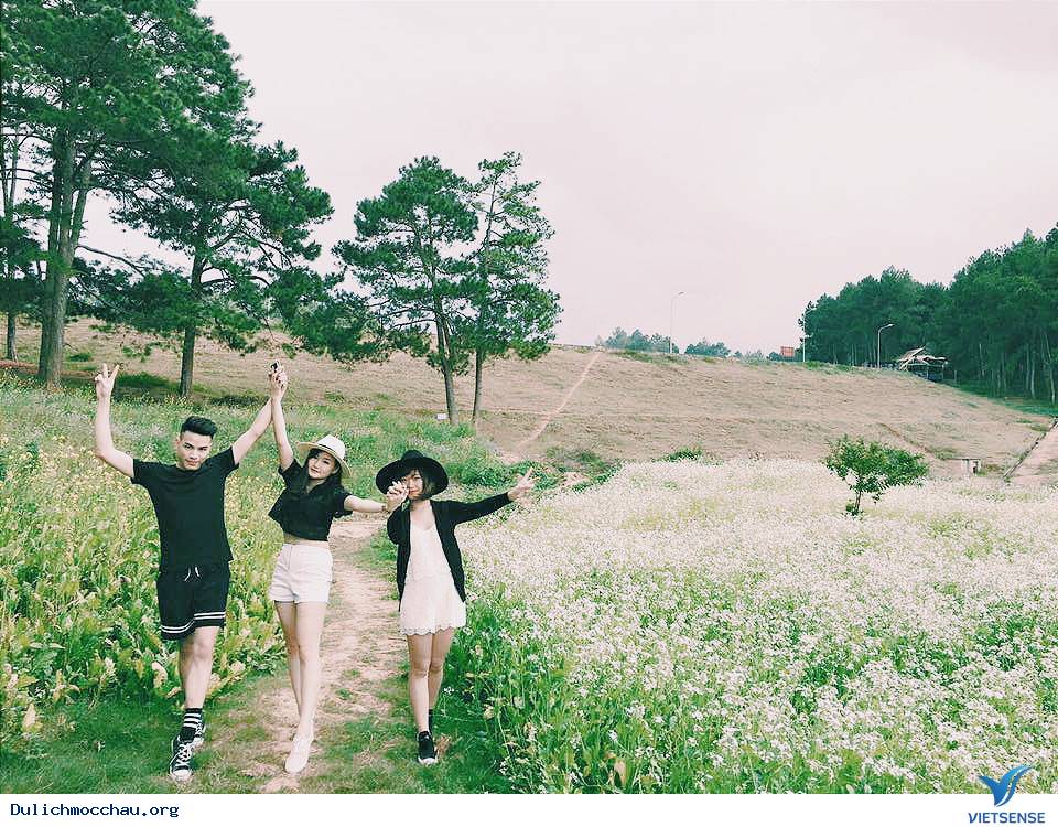 Mộc Châu - Những Con Đường Đẹp Như Mơ - Ảnh 1