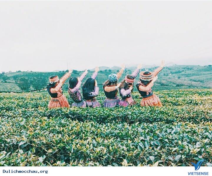 Mộc Châu - Những Con Đường Đẹp Như Mơ - Ảnh 6