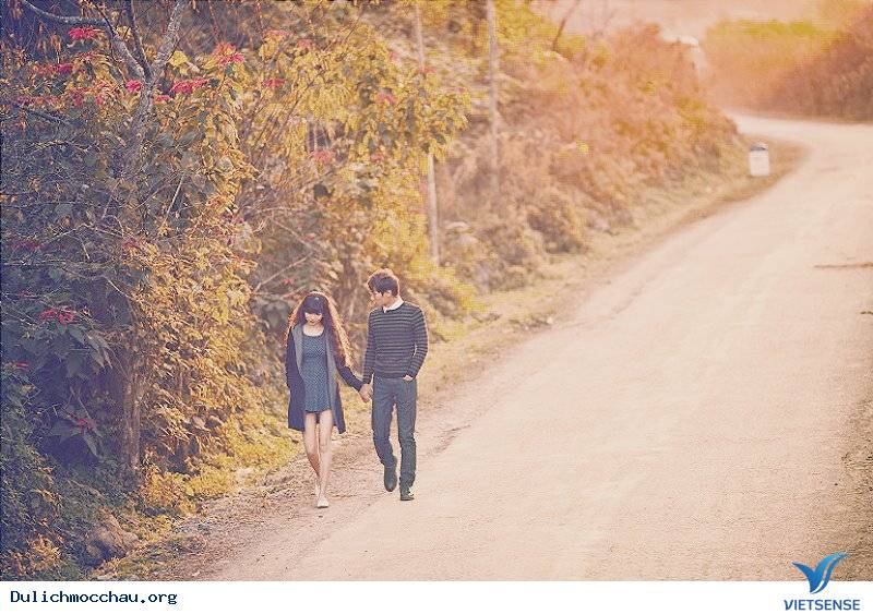 Mộc Châu - Những Con Đường Đẹp Như Mơ - Ảnh 5