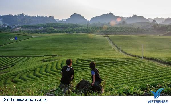 Mộc Châu Bình Yên Mùa Xuân Về - Ảnh 1