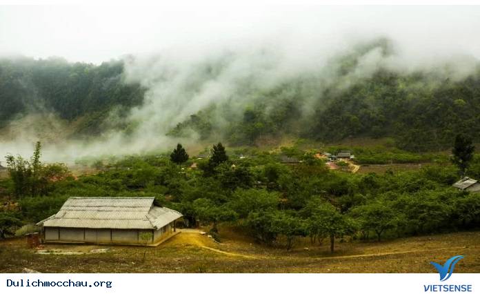 Mộc Châu đẹp dịu dàng, thanh khiết khi vào thu - Ảnh 5