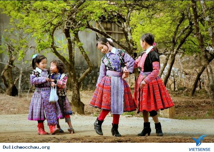 Mộc Châu đẹp dịu dàng, thanh khiết khi vào thu - Ảnh 3