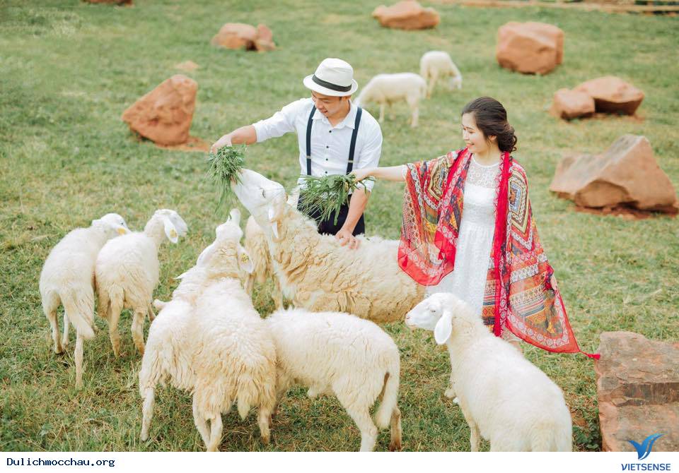 Mộc Châu Happy Land Thiên Đường Có Thật - Ảnh 9 Mộc Châu Happy Land Thiên Đường Có Thật - Ảnh 9