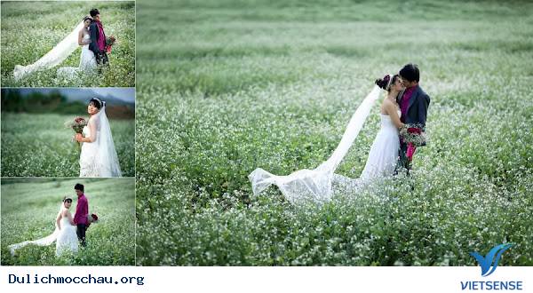 Du Lịch Mộc Châu chụp ảnh cưới