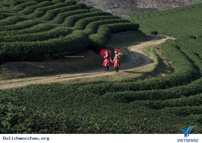 Mộc Châu Ngày Tết Qua Góc Ảnh Của Nhiếp Ảnh Gia Việt - Ảnh 21