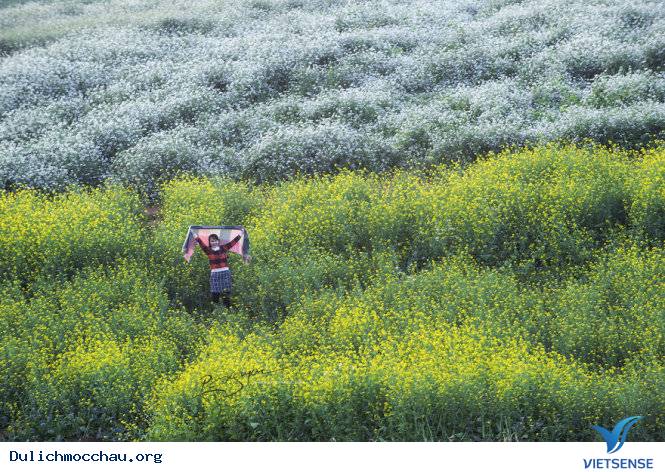 Mộc Châu Ngày Tết Qua Góc Ảnh Của Nhiếp Ảnh Gia Việt - Ảnh 23