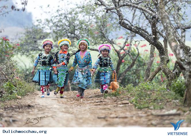 Mộc Châu Ngày Tết Qua Góc Ảnh Của Nhiếp Ảnh Gia Việt - Ảnh 1