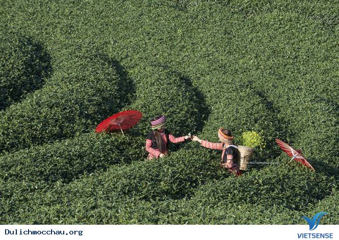 Mộc Châu Ngày Tết Qua Góc Ảnh Của Nhiếp Ảnh Gia Việt - Ảnh 19