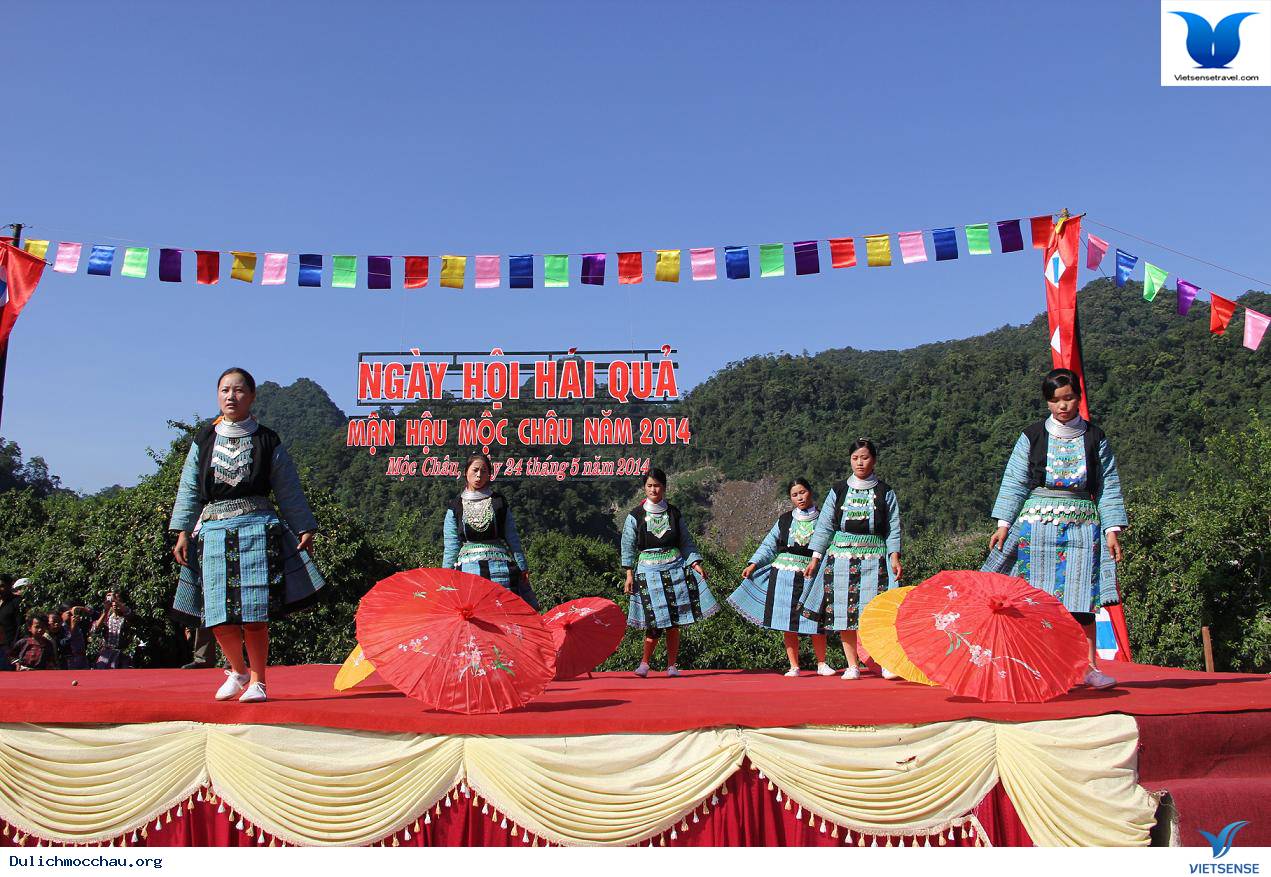 Mộc Châu: Sẵn Sàng Cho Ngày Hội Hái Quả 2014 - Ảnh 1 Mộc Châu: Sẵn Sàng Cho Ngày Hội Hái Quả 2014 - Ảnh 1