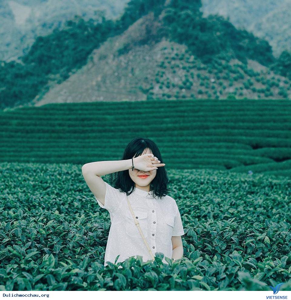 Khí hậu trong lành - Ảnh 1 Khí hậu trong lành - Ảnh 1