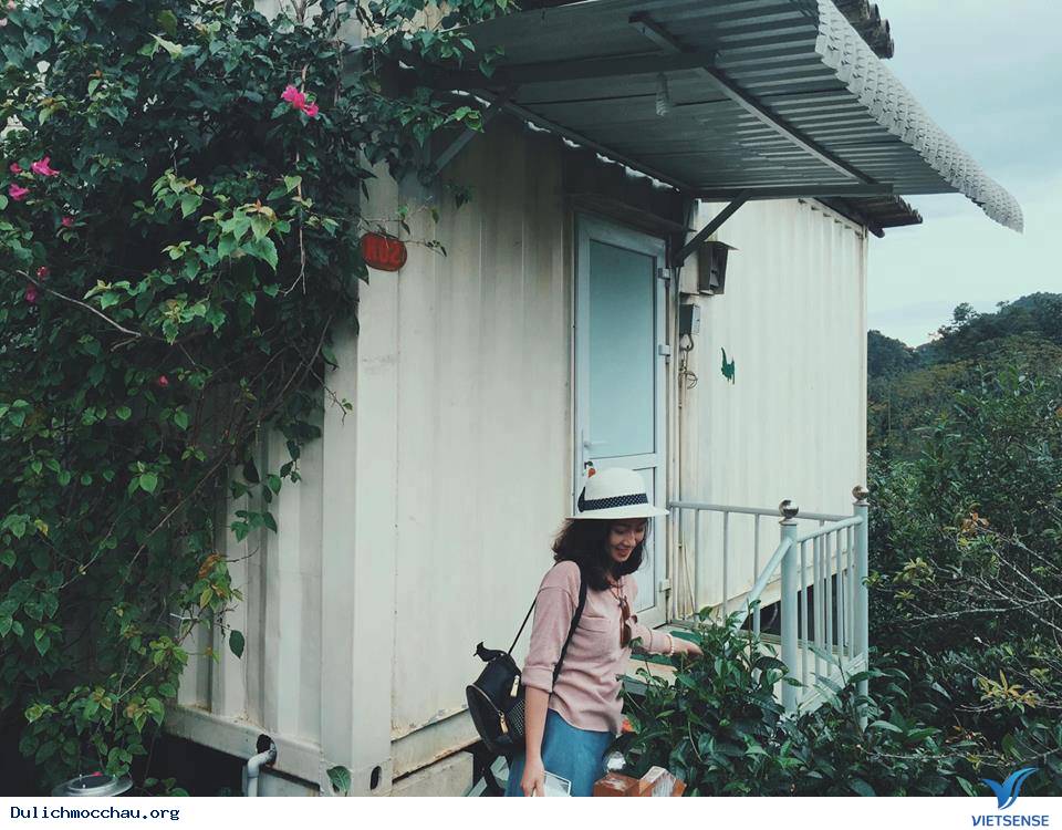 Homestay siêu xinh - Ảnh 1 Homestay siêu xinh - Ảnh 1