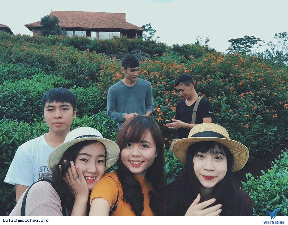 Homestay siêu xinh - Ảnh 3 Homestay siêu xinh - Ảnh 3