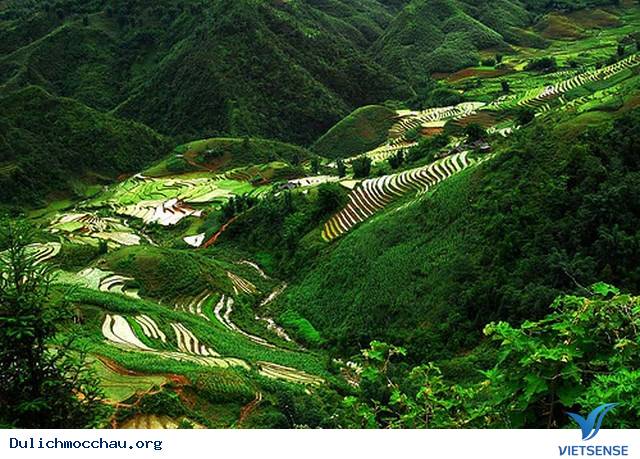 Mộc Châu Tháng 5 Và Những Ô Màu Mùa Nước Đổ - Ảnh 3
