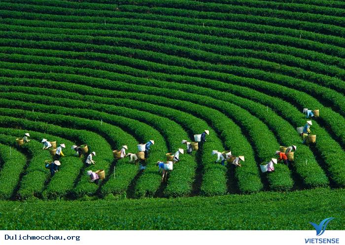 Mộc Châu Tháng 5 Và Những Ô Màu Mùa Nước Đổ - Ảnh 2