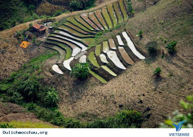 Mộc Châu Tháng 5 Và Những Ô Màu Mùa Nước Đổ - Ảnh 4