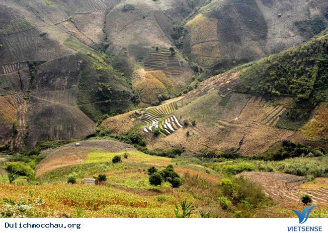 Mộc Châu Tháng 5 Và Những Ô Màu Mùa Nước Đổ - Ảnh 5