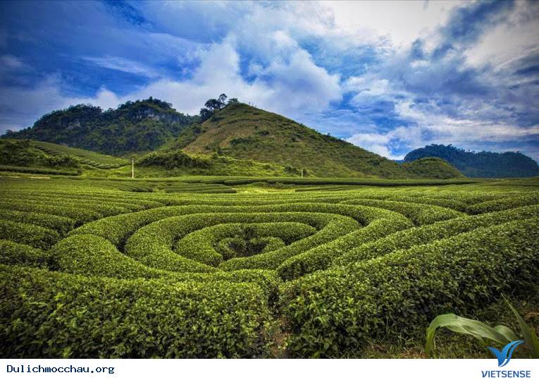 Mộc Châu Tháng 5 Và Những Ô Màu Mùa Nước Đổ - Ảnh 1