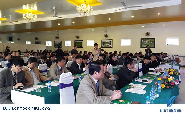 Mộc Châu Tổ Chức Hội Nghị Tổng Kết Hợp Tác Du Lịch 8 Tỉnh Tây Bắc - Ảnh 2 Mộc Châu Tổ Chức Hội Nghị Tổng Kết Hợp Tác Du Lịch 8 Tỉnh Tây Bắc - Ảnh 2