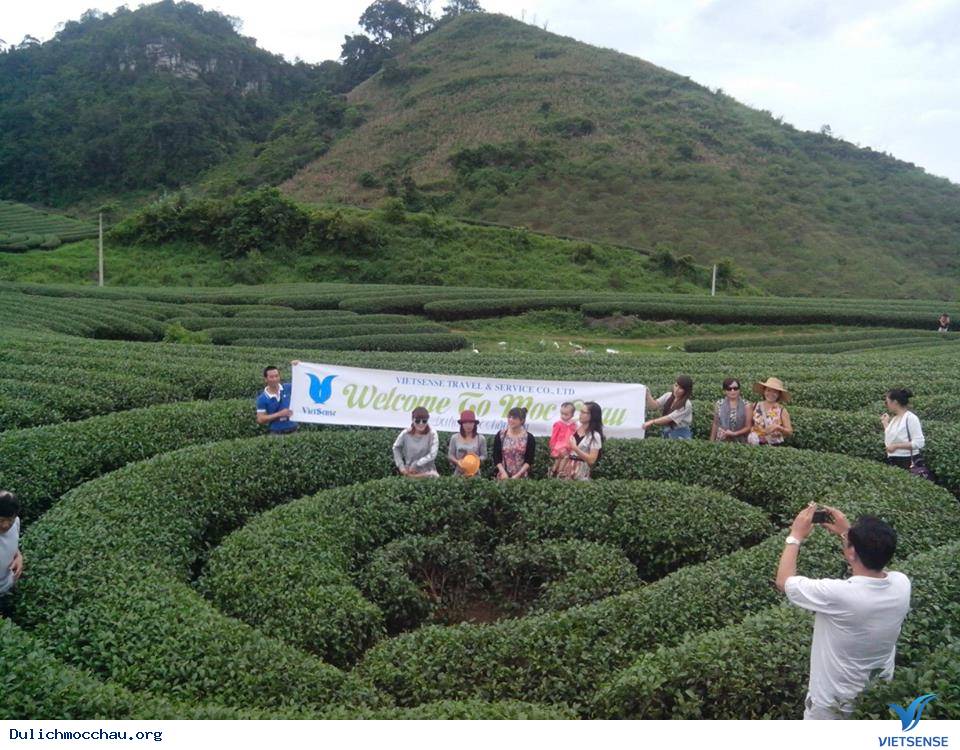 Khách du lịch Mộc Châu 2-9