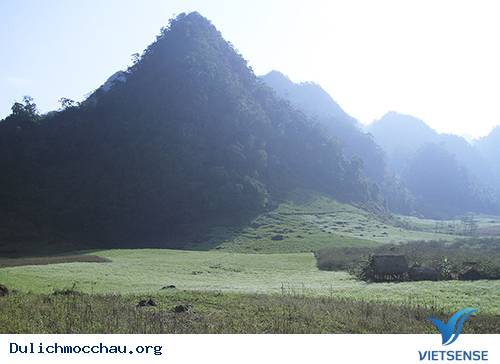 Mùa Thu Về Trên Cao Nguyên Trắng Mộc Châu - Ảnh 3
