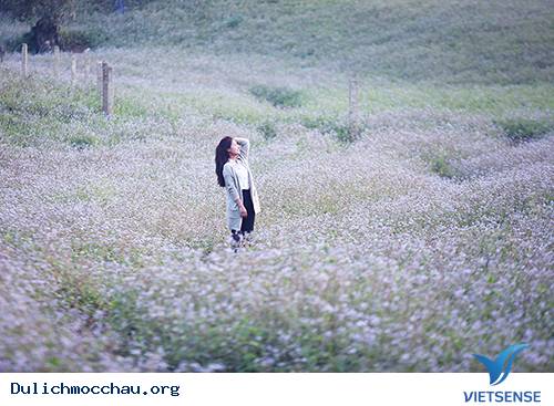 Mùa Thu Về Trên Cao Nguyên Trắng Mộc Châu - Ảnh 11