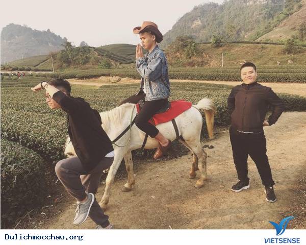 Muôn Kiểu Sống Ảo Trên Khắp Nẻo Mộc Châu - Ảnh 22 Muôn Kiểu Sống Ảo Trên Khắp Nẻo Mộc Châu - Ảnh 22