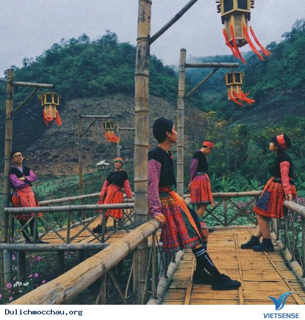 Muôn Kiểu Sống Ảo Trên Khắp Nẻo Mộc Châu - Ảnh 14 Muôn Kiểu Sống Ảo Trên Khắp Nẻo Mộc Châu - Ảnh 14