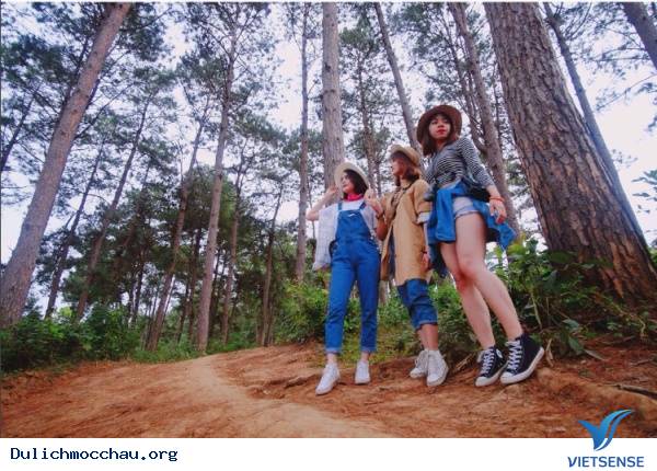 Muôn Kiểu Sống Ảo Trên Khắp Nẻo Mộc Châu - Ảnh 9 Muôn Kiểu Sống Ảo Trên Khắp Nẻo Mộc Châu - Ảnh 9