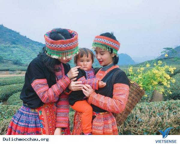 Muôn Kiểu Sống Ảo Trên Khắp Nẻo Mộc Châu - Ảnh 18 Muôn Kiểu Sống Ảo Trên Khắp Nẻo Mộc Châu - Ảnh 18