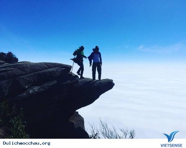 Muôn Kiểu Sống Ảo Trên Khắp Nẻo Mộc Châu - Ảnh 12 Muôn Kiểu Sống Ảo Trên Khắp Nẻo Mộc Châu - Ảnh 12