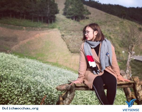 Muôn Kiểu Sống Ảo Trên Khắp Nẻo Mộc Châu - Ảnh 24 Muôn Kiểu Sống Ảo Trên Khắp Nẻo Mộc Châu - Ảnh 24