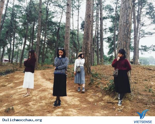 Muôn Kiểu Sống Ảo Trên Khắp Nẻo Mộc Châu - Ảnh 7 Muôn Kiểu Sống Ảo Trên Khắp Nẻo Mộc Châu - Ảnh 7