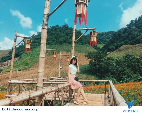 Muôn Kiểu Sống Ảo Trên Khắp Nẻo Mộc Châu - Ảnh 15 Muôn Kiểu Sống Ảo Trên Khắp Nẻo Mộc Châu - Ảnh 15