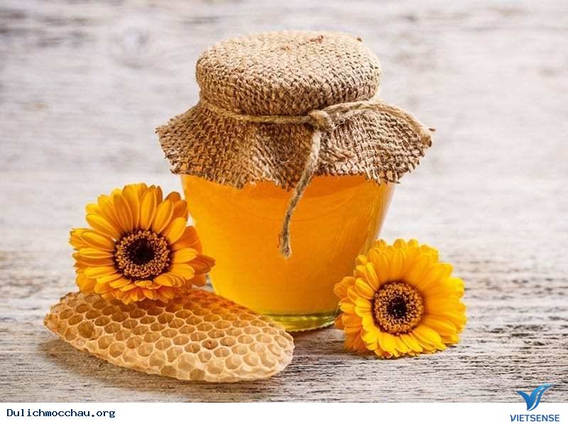 Mật Ong Mộc Châu Ươm Đầy Hương Hoa Mật Ong Mộc Châu Ươm Đầy Hương Hoa