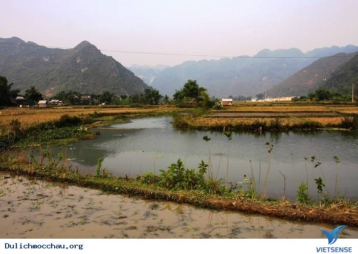 Nét đẹp bản Pom Coọng của người dân tộc Thái - Ảnh 4 Nét đẹp bản Pom Coọng của người dân tộc Thái - Ảnh 4