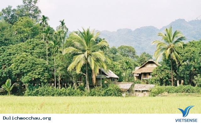 Nét đẹp bản Pom Coọng của người dân tộc Thái - Ảnh 6 Nét đẹp bản Pom Coọng của người dân tộc Thái - Ảnh 6