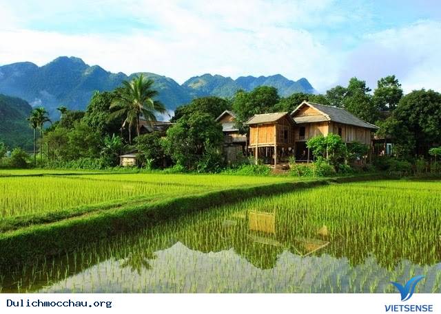 Nét đẹp bản Pom Coọng của người dân tộc Thái - Ảnh 2 Nét đẹp bản Pom Coọng của người dân tộc Thái - Ảnh 2