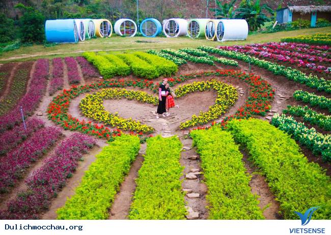 Nghỉ lễ 02/09 tại Mộc Châu chỉ với 850k – khó tin nhưng đó là thật! - Ảnh 2