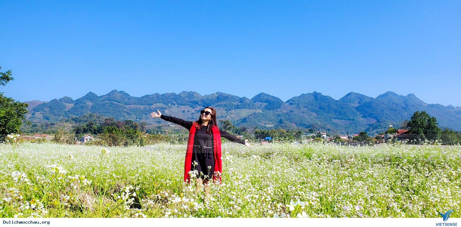 Ngỡ ngàng mùa hoa cải trắng trên Cao nguyên Mộc Châu - Ảnh 3