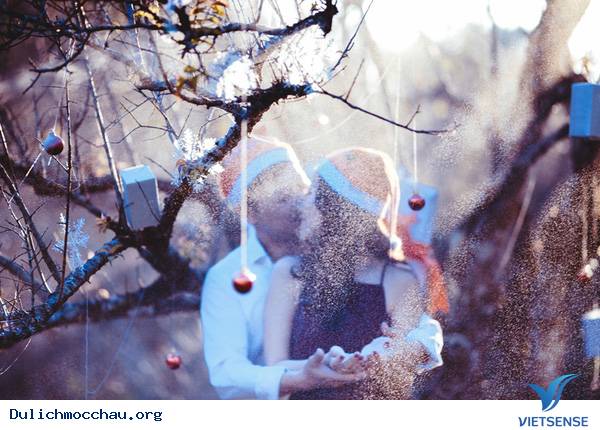 Ngỡ Ngàng Với Bộ Ảnh Cưới Noel Của Cặp Đôi Hà Thành Tại Mộc Châu - Ảnh 8 Ngỡ Ngàng Với Bộ Ảnh Cưới Noel Của Cặp Đôi Hà Thành Tại Mộc Châu - Ảnh 8