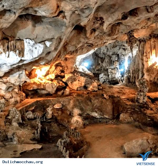 Hoa Tam Giác Mạch