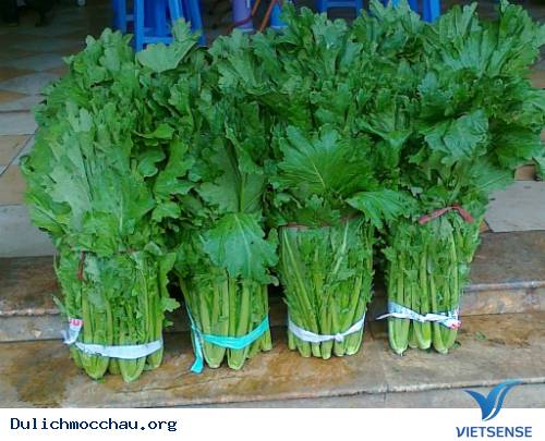 Những Đặc Sản Hấp Dẫn Du Khách Của Cao Nguyên Mộc Châu - Ảnh 1 Những Đặc Sản Hấp Dẫn Du Khách Của Cao Nguyên Mộc Châu - Ảnh 1