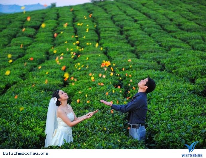 Những Địa Điểm Chụp Ảnh Cưới Đẹp Tại Mộc Châu - Ảnh 3 Những Địa Điểm Chụp Ảnh Cưới Đẹp Tại Mộc Châu - Ảnh 3