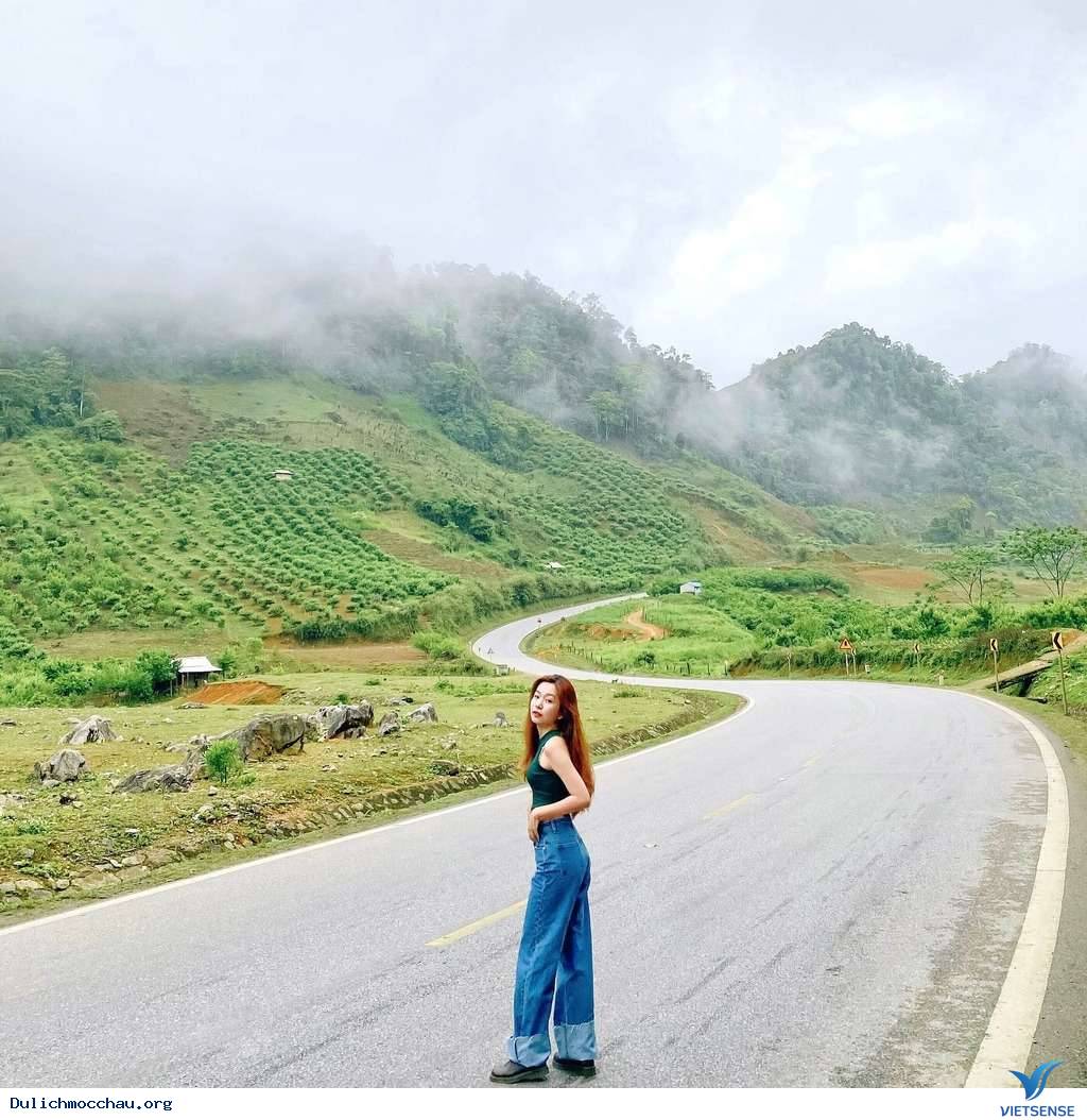 Những địa điểm đẹp ở Mộc Châu (Mộc Châu) bạn không nên bỏ qua. - Ảnh 2