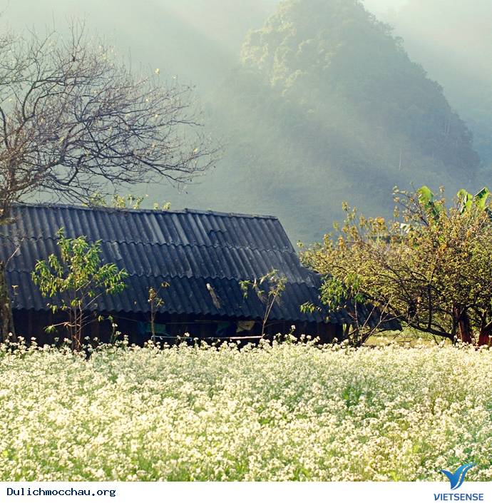 Bản Thung Cuông Bản Thung Cuông