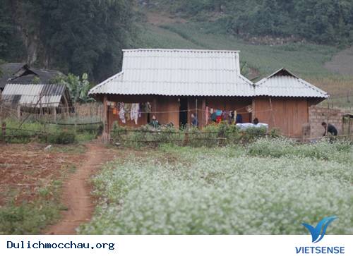 Ngày Tết Của Người Mông - Ảnh 1