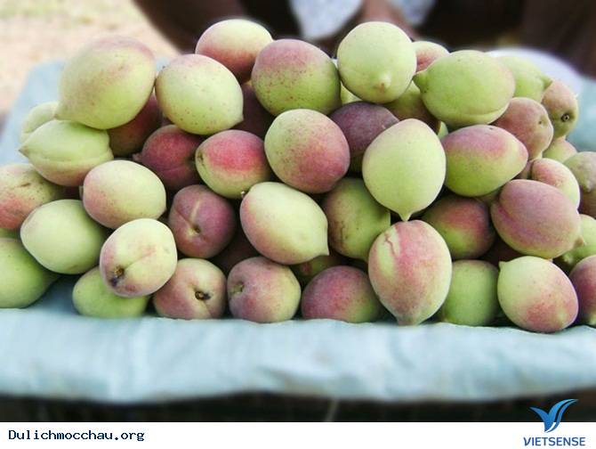 Những Món Quà Hấp Dẫn Trong Chuyến đi thăm quan Mộc Châu - Ảnh 2