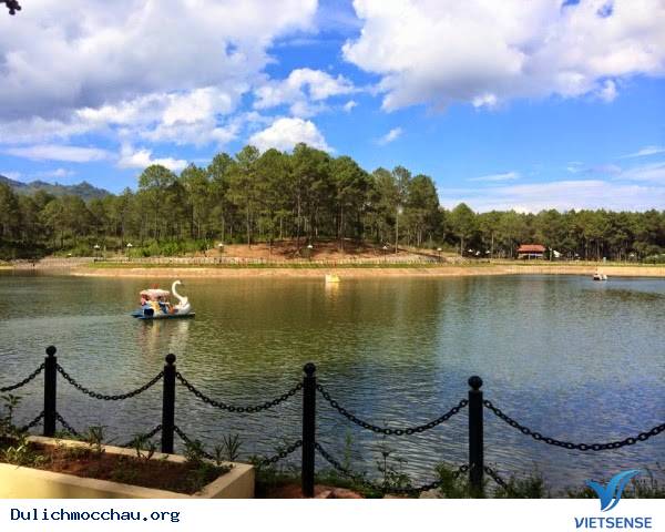 Những Trải Nghiệm hành trình Mộc Châu Vào Mùa Hè - Ảnh 2