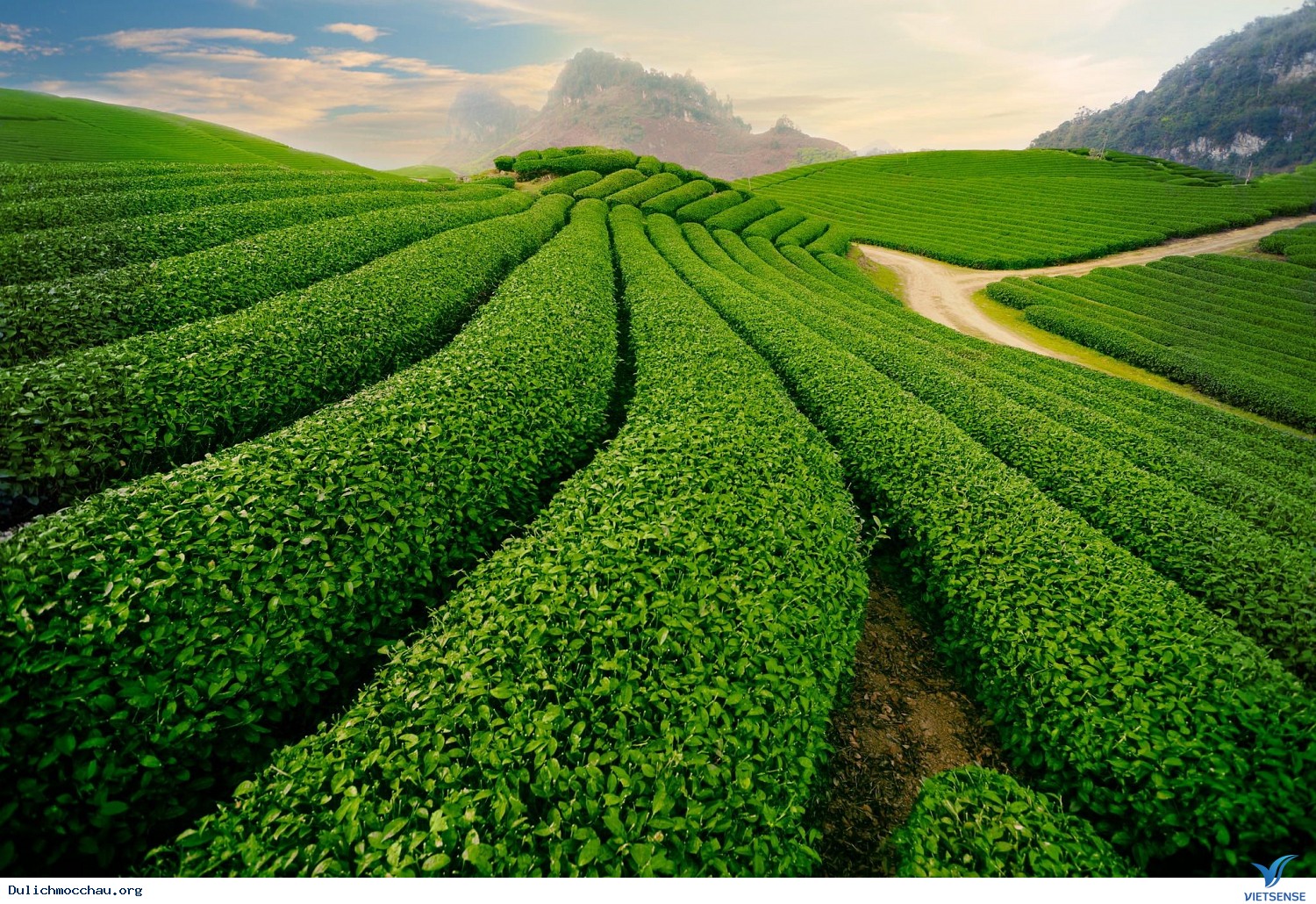 Những trải nghiệm thật tuyệt trên cao nguyên xanh - Ảnh 1