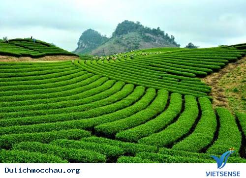 Những trải nghiệm thật tuyệt trên cao nguyên xanh - Ảnh 2